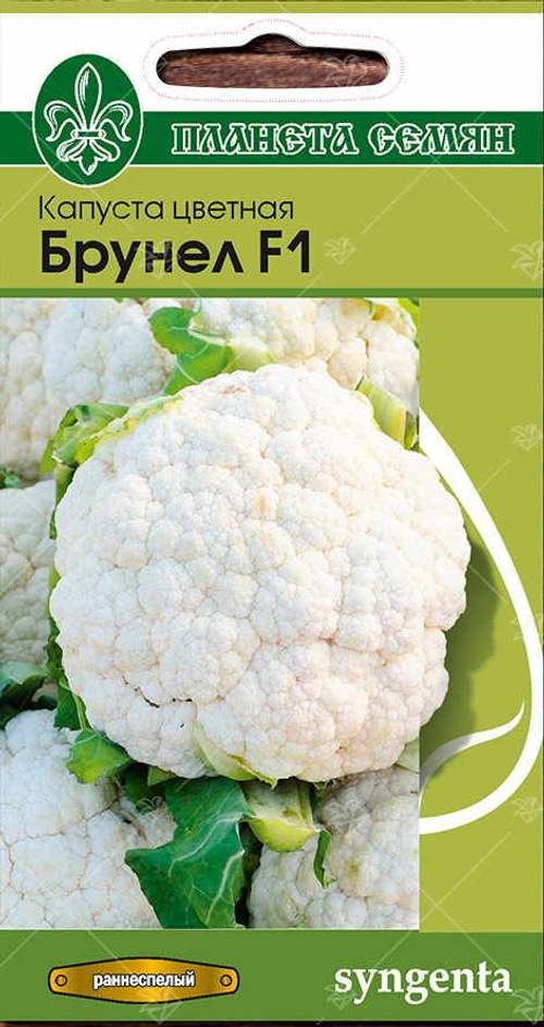 Капуста цветная Брунел F1