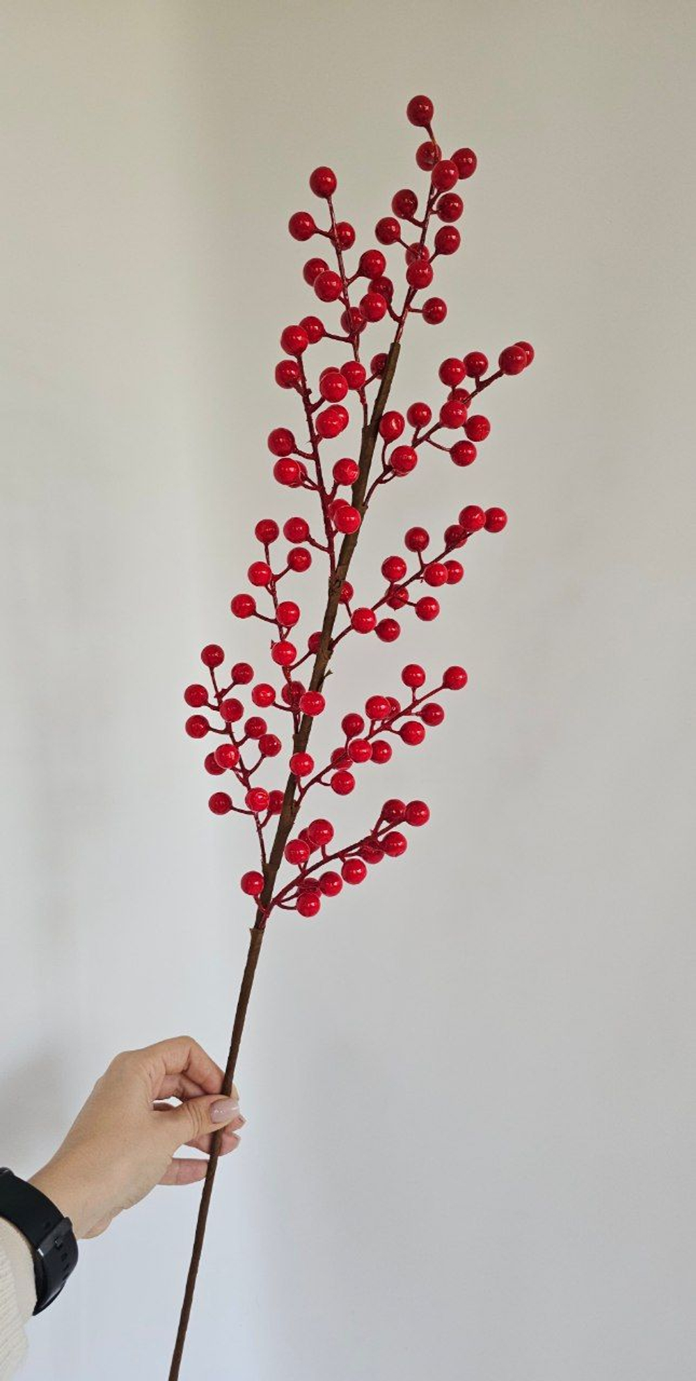 Ягоды / Арт 8036