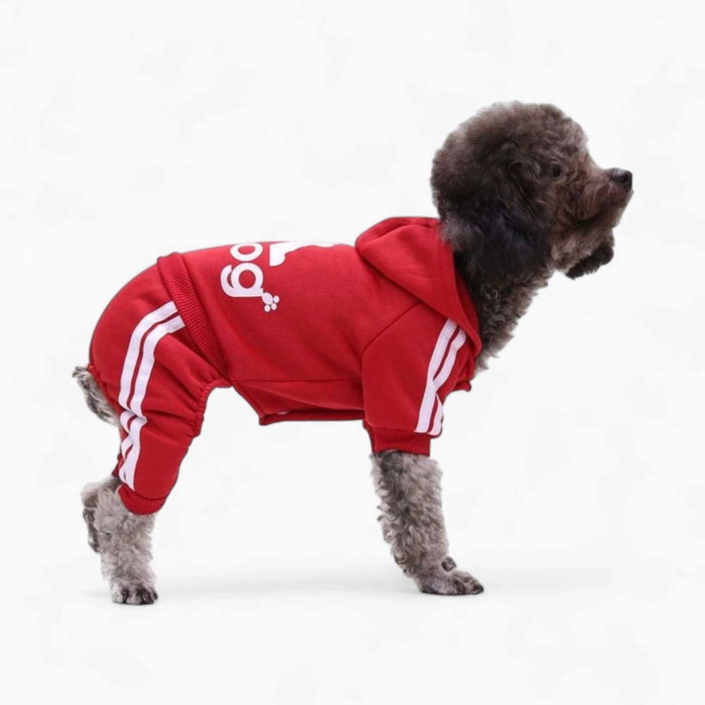 Спортивный костюм «Adidog»