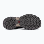 Женские Кроссовки Salomon X Ultra 360 GTX nine iron/excalibur