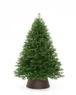 Ель искусственная «Флоренция» (Литая хвоя) от 1,8 м до 2,4 м