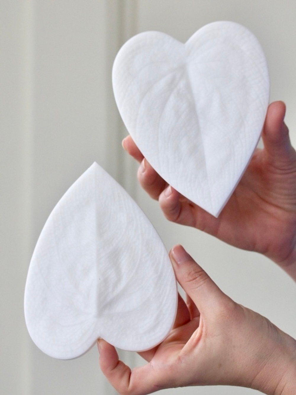 Вайнер лист Каладиума ClayCraft by DECO™