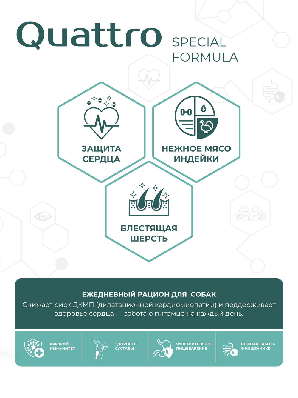 Корм для собак средних и крупных пород SF Cardio Guard, (дилатационная кардиомиопатия), 12 кг, QUATTRO