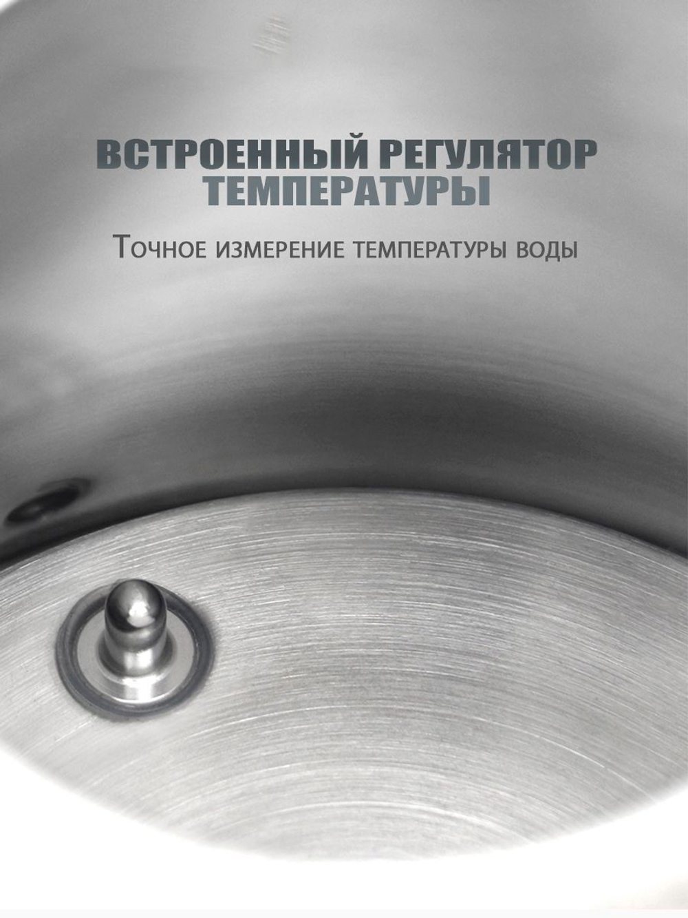 Чайник с регулировкой температуры нагрева (черный)