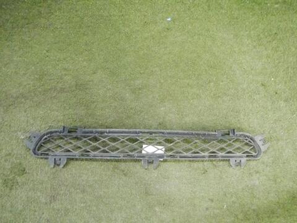 Решетка переднего бампера BMW X3 F25 (2010-2014)