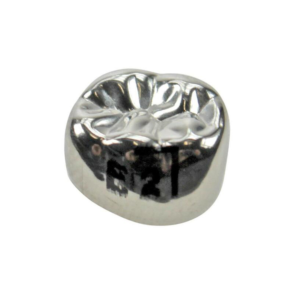 Второй нижний правый моляр, размер 2 (E-LR-2)