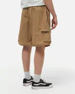 Шорты Anteater Boxy Cargo бежевые