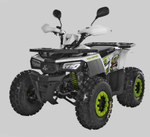 Квадроцикл TAO MOTOR HUNTER New 125