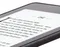 Электронная книга Amazon Kindle PaperWhite 2018 8GB Blue (синий)