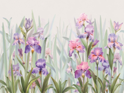 Коллекция Flower dreams 2