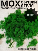 Мох стабилизированный обрезки для рукоделия
