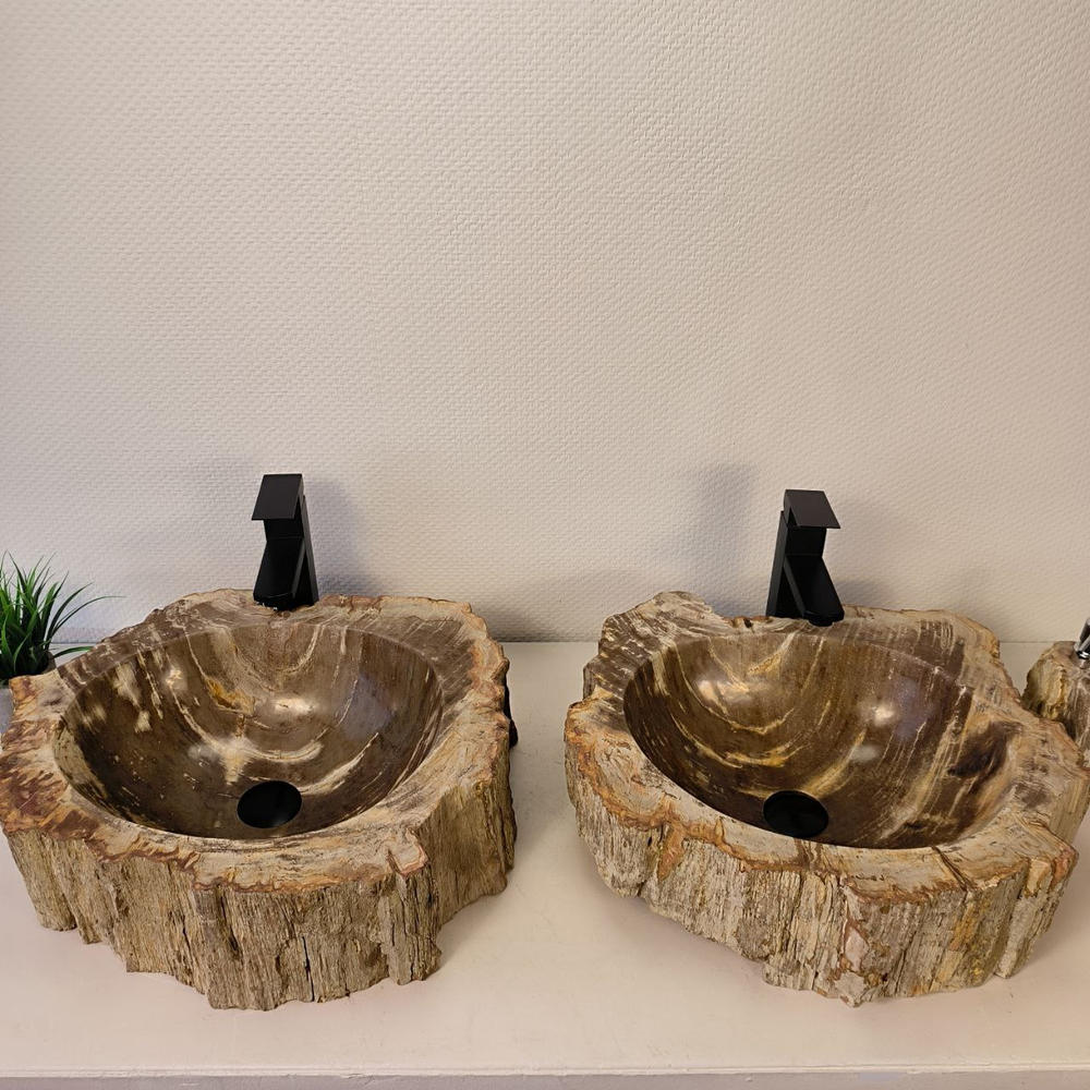 Раковина из окаменелого дерева ПАРА! OD-66073 52*45*15 из натурального камня