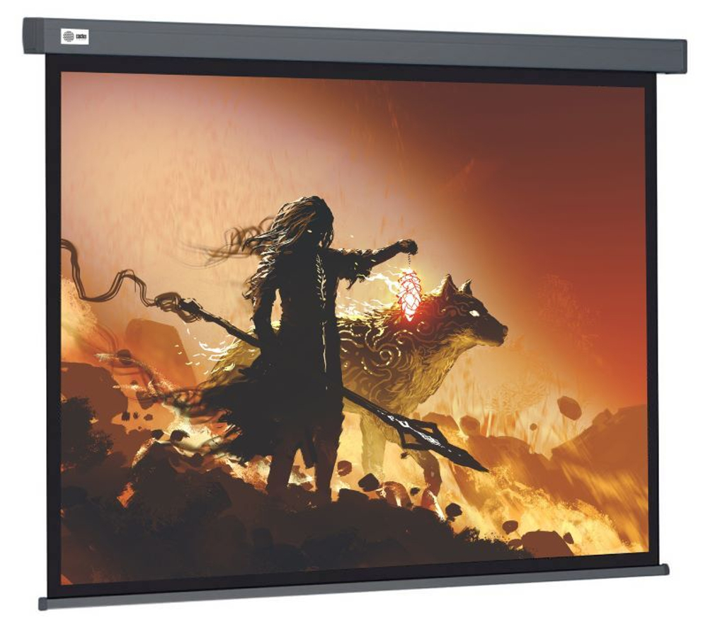 Экран  Cactus CS-PSW-213X213-SG