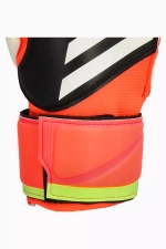 Вратарские перчатки adidas Predator Match