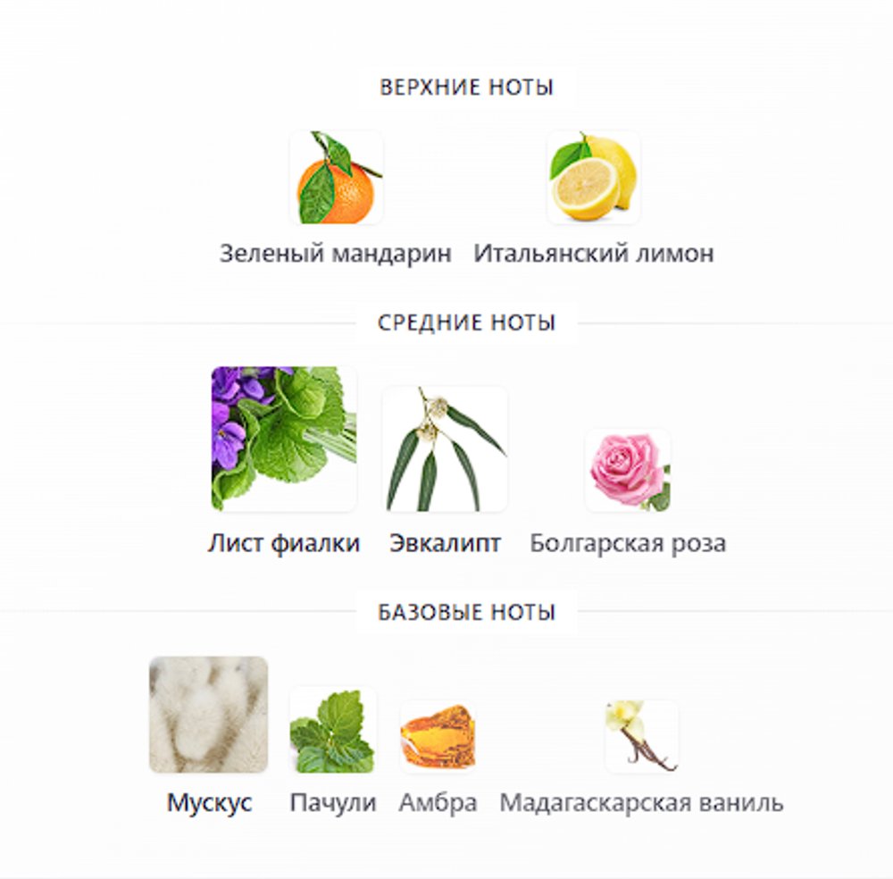 La Tosca Casamorati 1888 100ml (duty free парфюмерия)