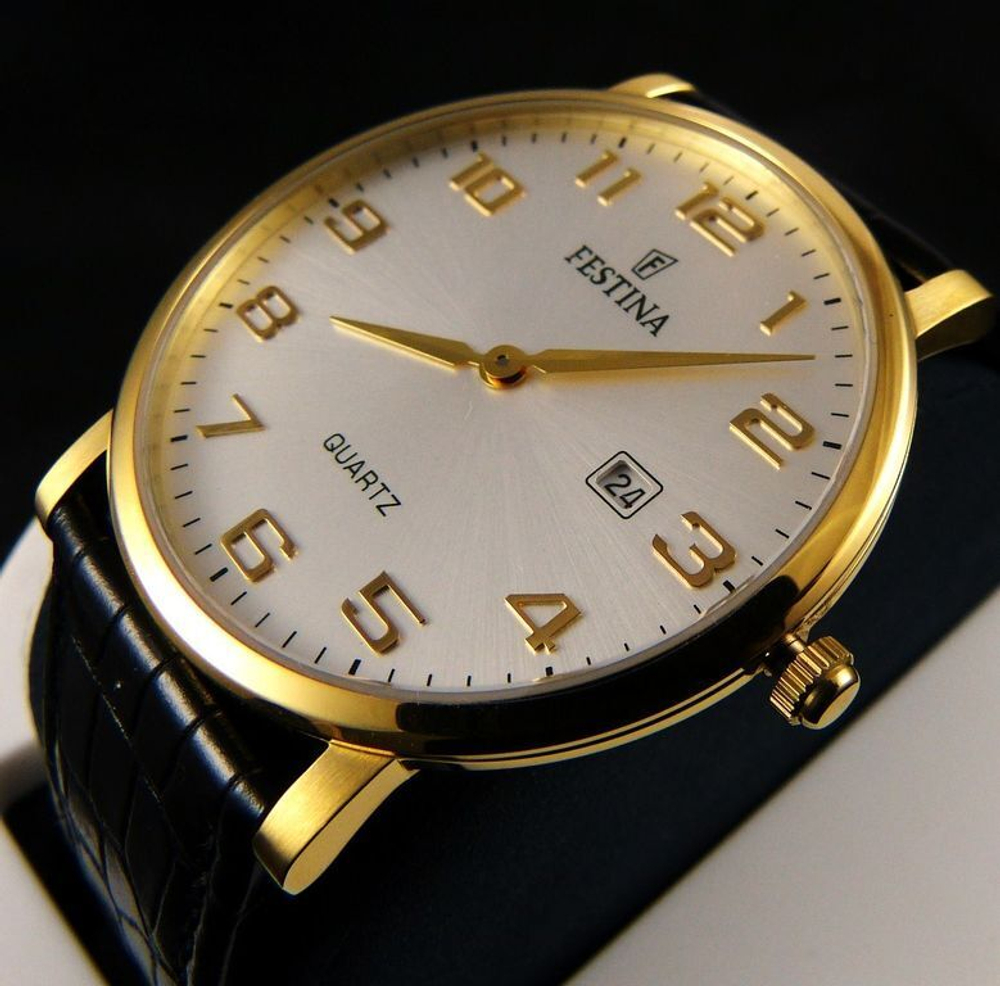 Мужские наручные часы Festina F16478/2