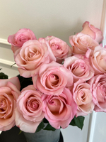 Роза одноголовая в розовом оттенке