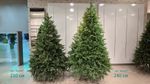 Ель искусственная «Берген» (Литая хвоя) от 1,5 м до 2.4 м