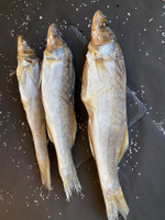 Судак вяленый с Ладожского озера, слабосоленый 1000 грамм