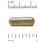 California Gold Nutrition, лютеин плюс, с черничным порошком и зеаксантином, 120 растительных капсул