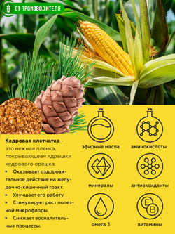 D_Kasha_kykyruznay_kedr_fiber_11