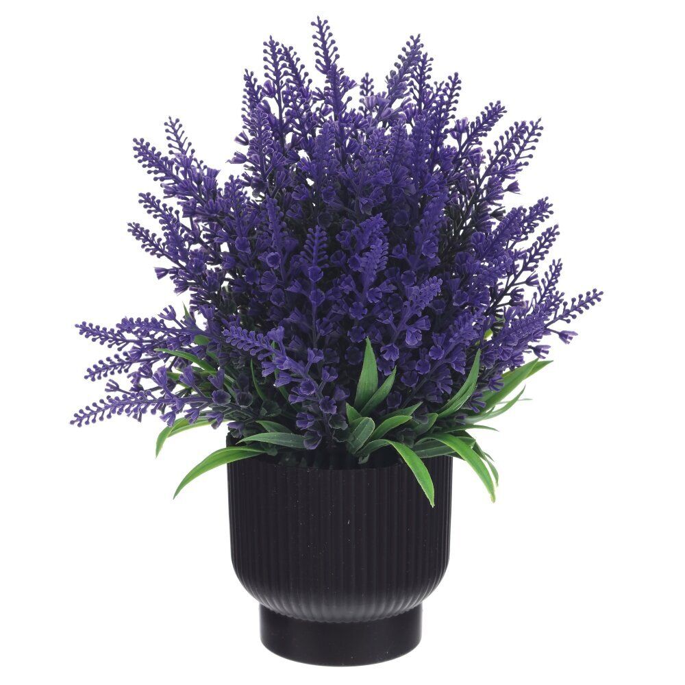 GAEM Цветочная композиция, L20 W20 H25 см