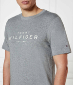 Футболка Tommy Hilfiger - серый(MW0MW37448)