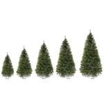 Елка «Императорская» 180 см, леска+ПВХ (736 ветка)