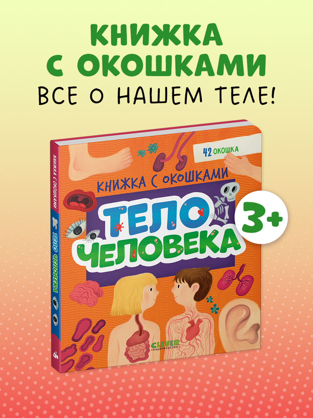 Книжка с окошками. Тело человека