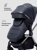 Коляска 2 в 1 Rant Falcon Therm