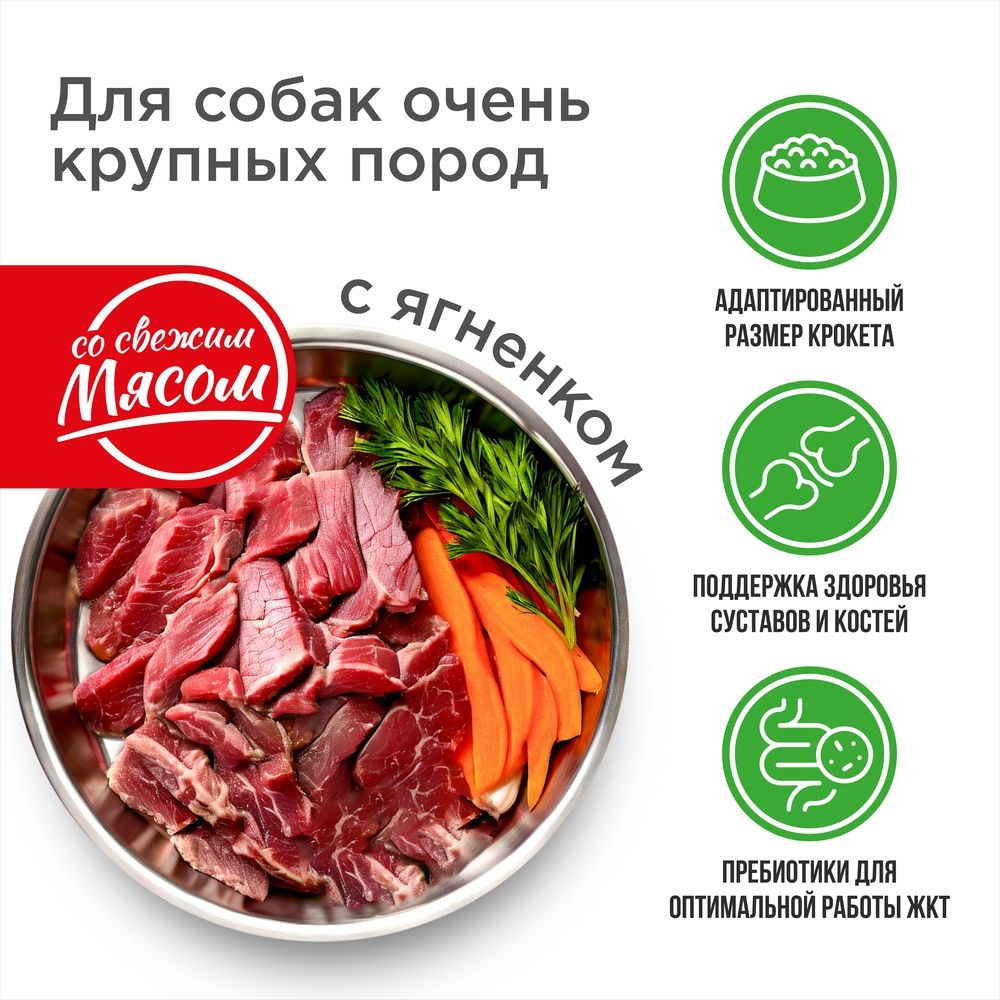 Корм сухой для взрослых собак очень крупных пород, премиум полнорационный сбалансированный, с ягненком, 2,5 кг, QUATTRO