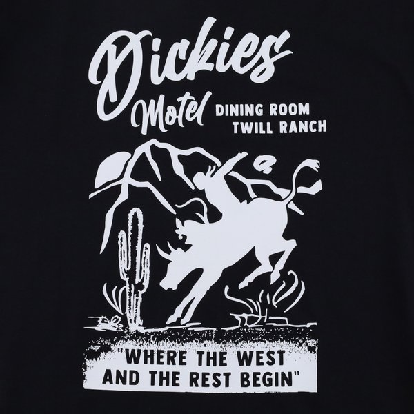 Футболка Dickies Dighton Graphic T-Shirt (black) артикул:WSR19 - купить в магазине Дайс