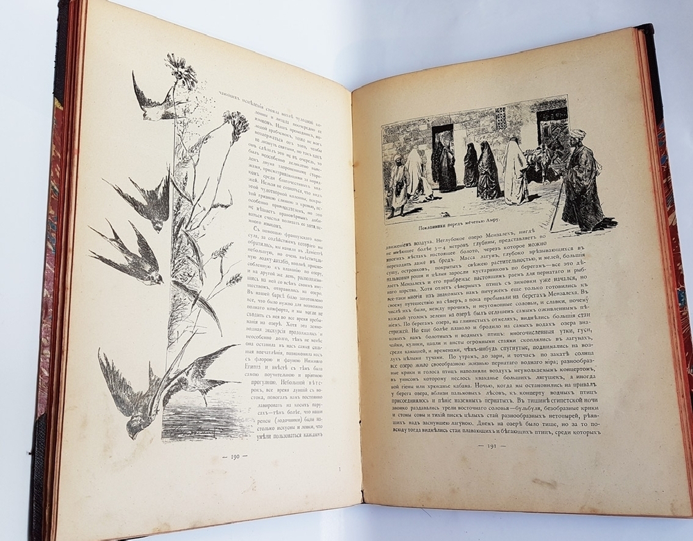 "По белу свету. Очерки и картины из путешествий по трем частям Старого света". А.В. Елисеев. 1904г. - редкая книга