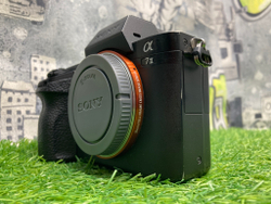Sony A7 II 9.700 кадров
