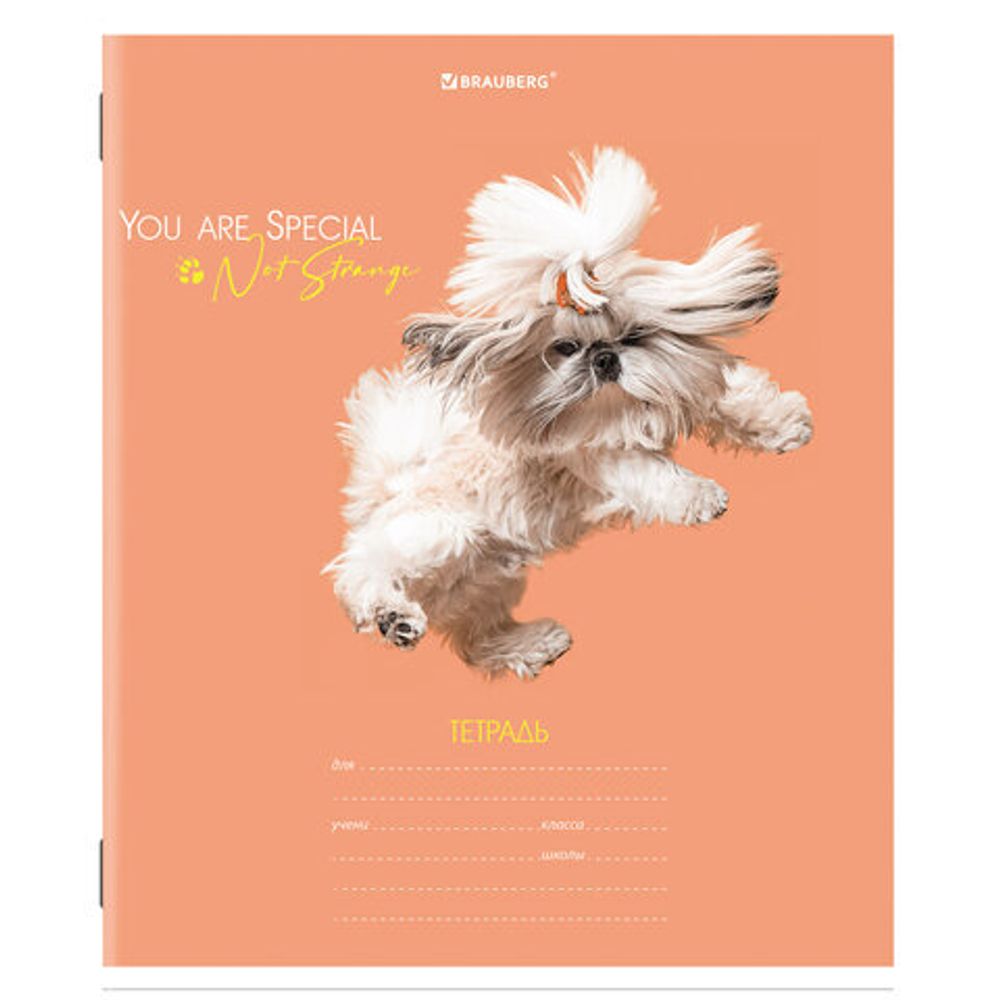 Тетрадь 18 л. BRAUBERG линия, обложка картон, "СОБАЧКИ", 106481, 5шт