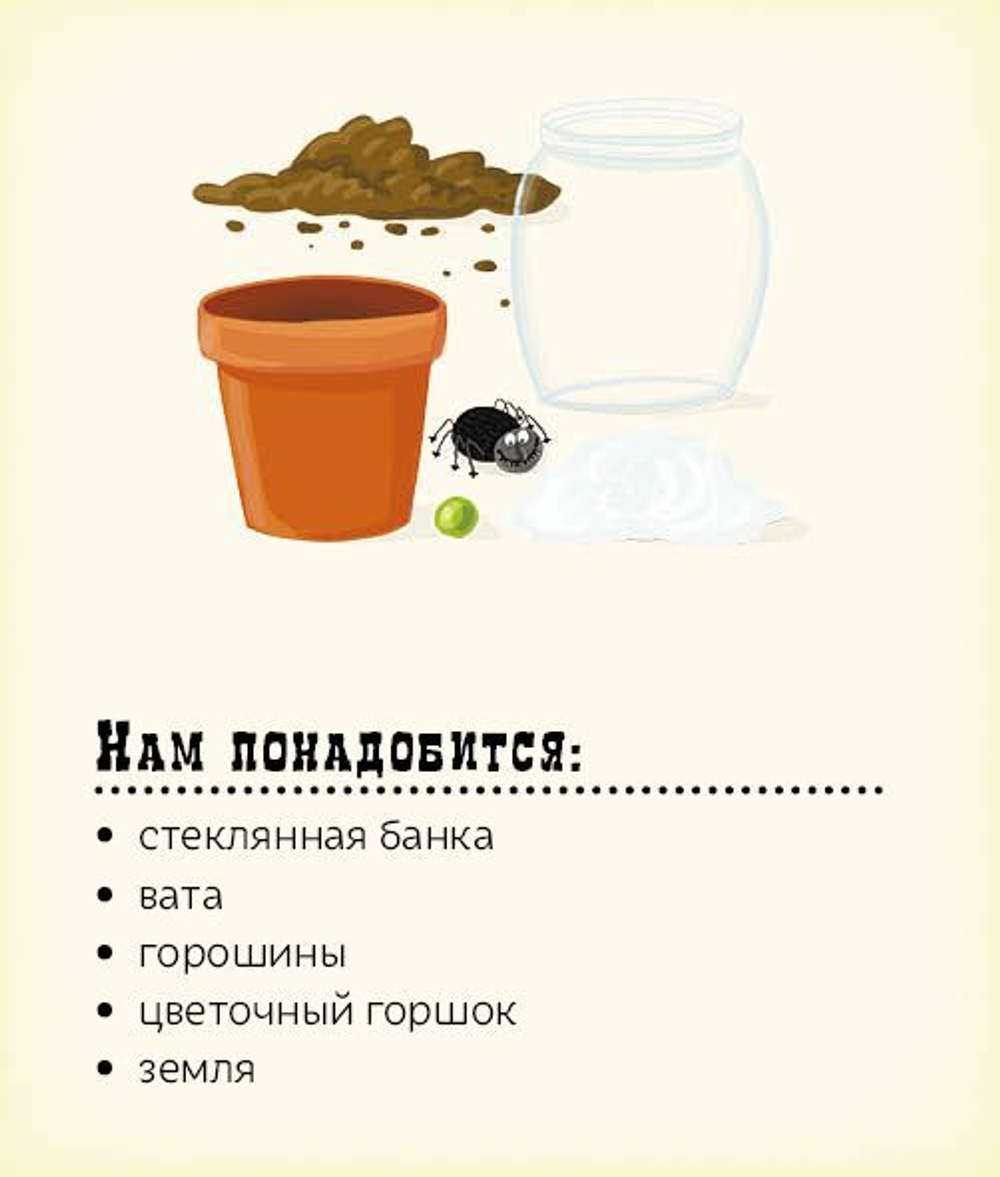 Сад круглый год