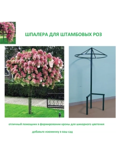 Шпалера для роз металлическая