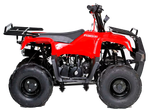 Квадроцикл Motoland VOX110 RIDER красный