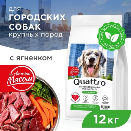 Корм сухой для взрослых собак крупных пород, премиум полнорационный комплекс, для городских собак, с ягненком, 12 кг, QUATTRO