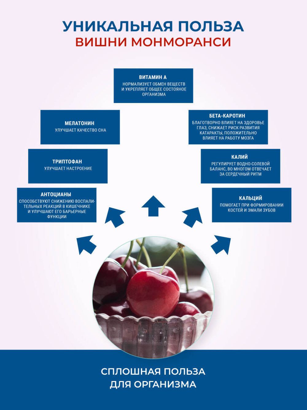 Коллаген Olimse Вишня Монморанси, упаковка: 30 шт по 20 г