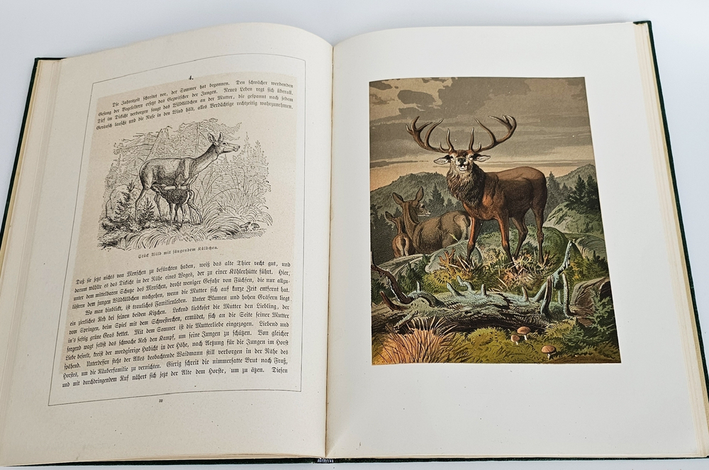 "Hubertus-Bilder. Ein Album für Jäger und Jagdfreunde gezeichnet und erzählt von Guido Hammer (Картины Хубертуса. Альбом для охотников и любителей охоты, нарисованный и озвученный Гвидо Хаммером.)". 0г.