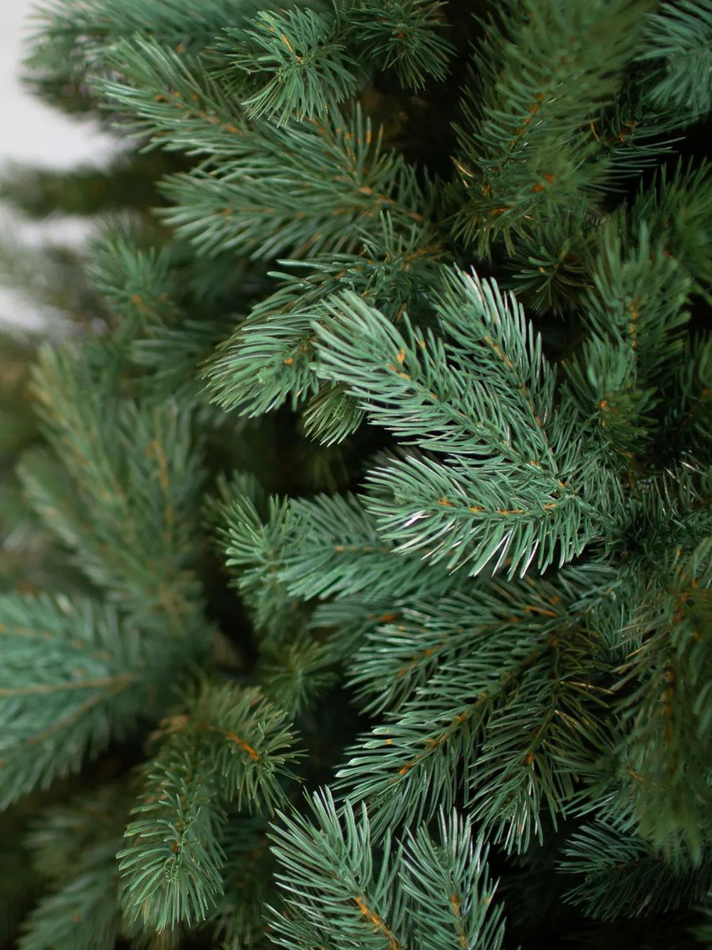 Ель искусственная «Шервуд» (Литая хвоя) от 1,5 м до 2,4 м