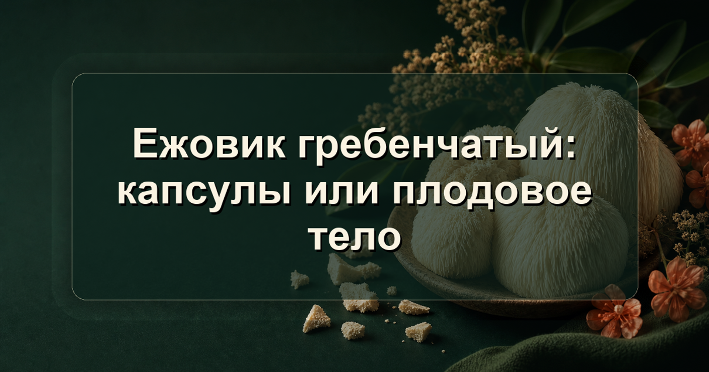Ежовик гребенчатый: капсулы или плодовое тело