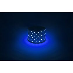 Светодиодная лента ЭРА LS5050-14,4-60-12-B-IP20-1 year-5m синий 1 год