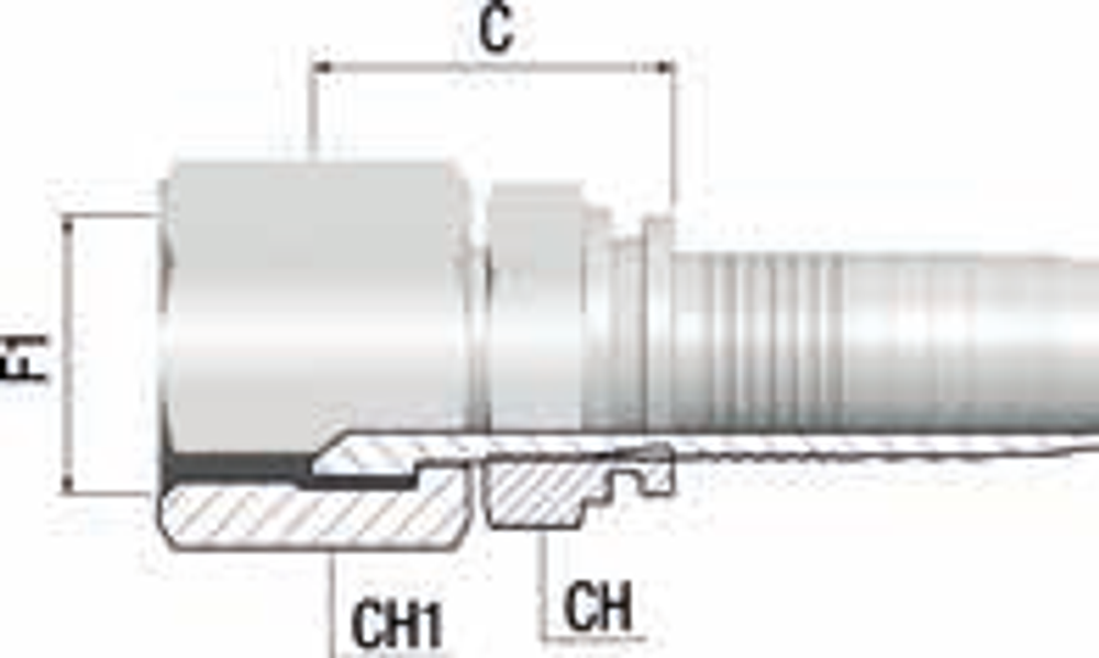 Фитинг DN 06 JIC (Г) 1/2