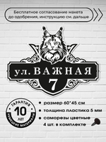 Адресная табличка на дом с котом мейн-куном, 60х45 см.