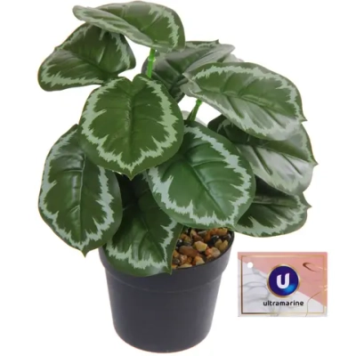 Цветок искусственный в горшке «Сингониум» 22см