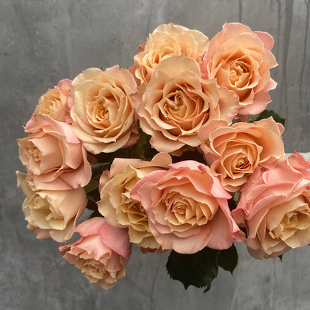 Сахара Сенсейшн — букет интерьерных роз