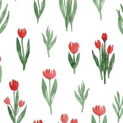 Красные тюльпаны на белом фоне