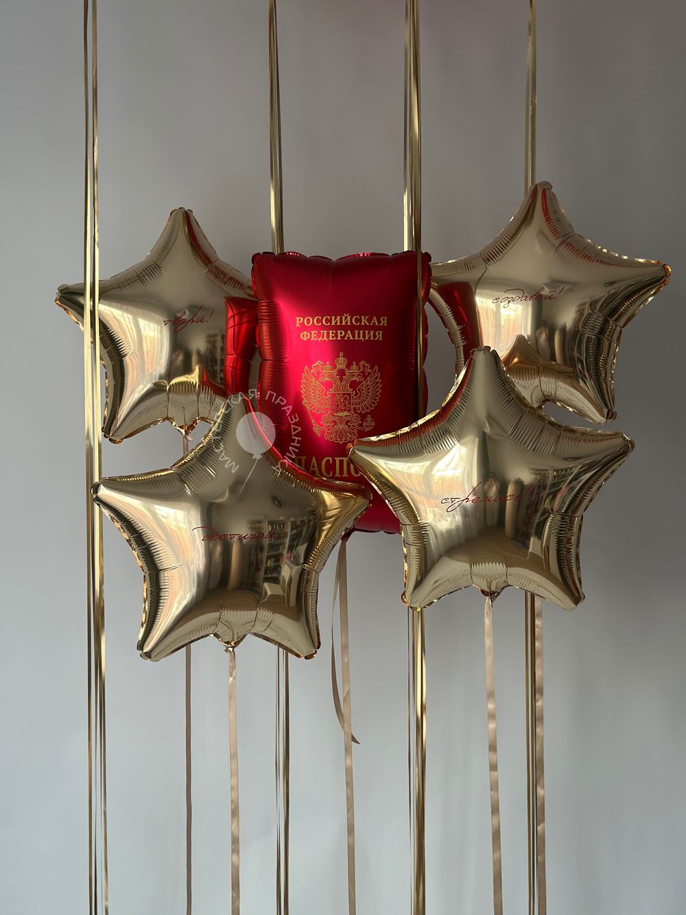 Воздушные шары Паспорт №8816  Изображение3